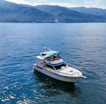 Yate economico vallarta