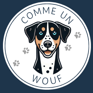 éducateur canin Bayonne