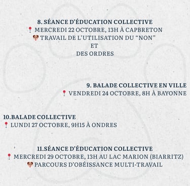 Activité chien
