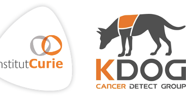 Institut Curie dog