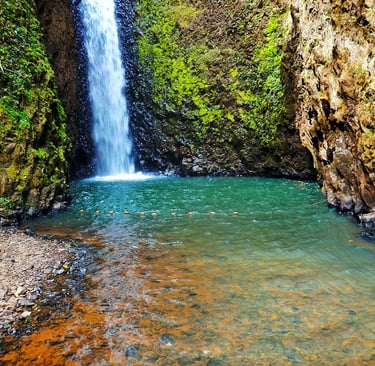 A Cachoeira dos Quatis com 46 metros de queda livre e trilha de 1.500 metros, entre cabreúva