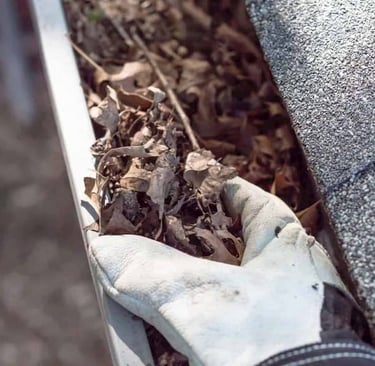 a handful of leaves in a glove in a gutter