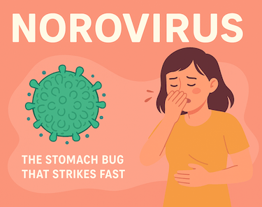 Norovirus or stomach bug 