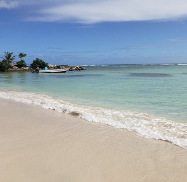 raisins clairs voyage france guadeloupe