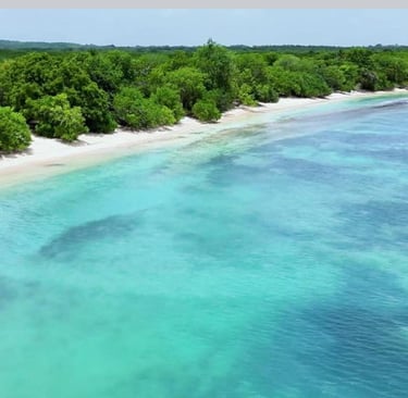 souffleur voyage france guadeloupe