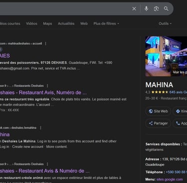 screen google business voyage france guadeloupe