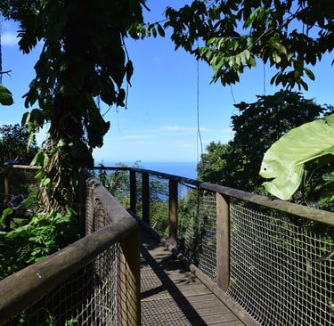 Voyage France Guadeloupe Zoo