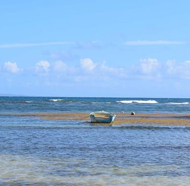 Voyage France Guadeloupe Bois Jolan