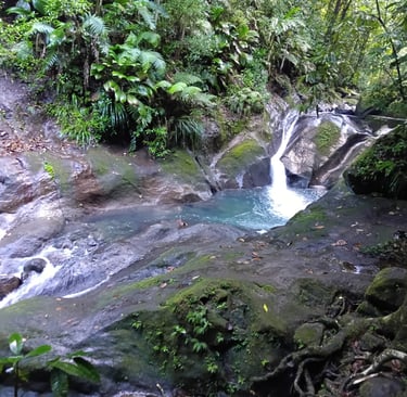 akwaform voyage france guadeloupe