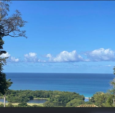 Bas Villa Couleuvre voyage france guadeloupe