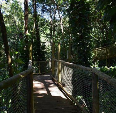 Voyage France Guadeloupe Zoo