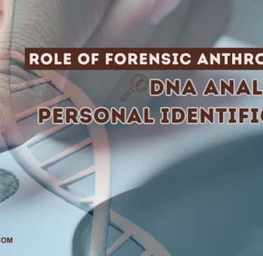 forensic anthropology