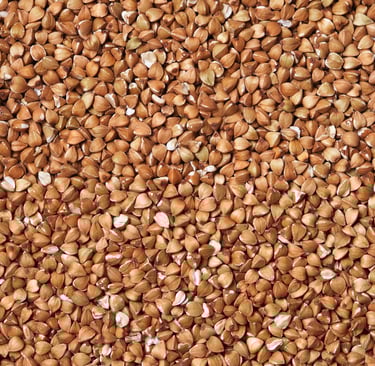 sales@okaypharmusa.com