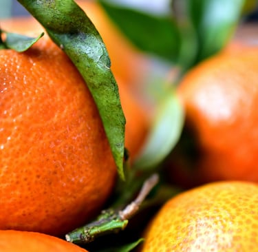 sales@okaypharmusa.com