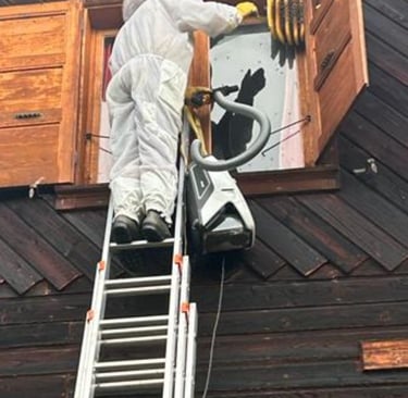 déplacement essaim abeille derrière volet Haute-SavoieFillinges, Bonne Boëge Cluses Reignier 