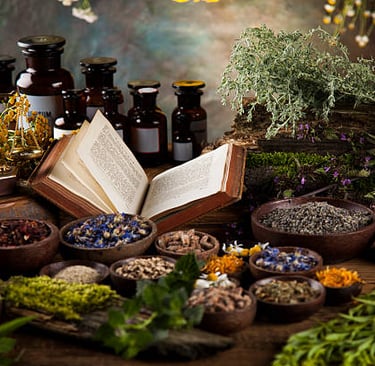 a variety of herbs and herbs in a variety of different sizes and shapes