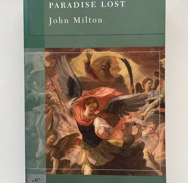 a book cover of paradise lost