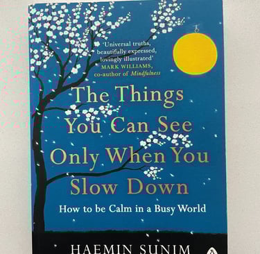 a book cover of the book the things you can see only when you slow down