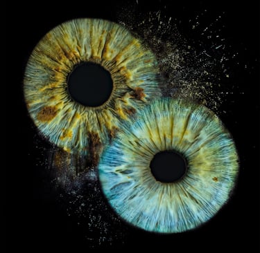 a-eye.pl home page