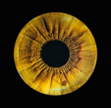 a eye gallery