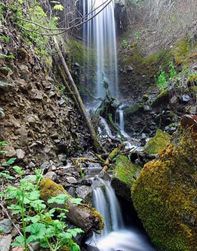 Jacksonville Forest Park