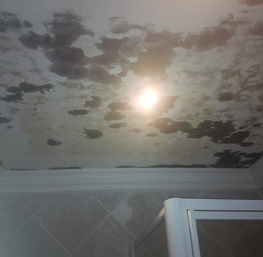 Black mould on ceiling due to extensive roof leaks