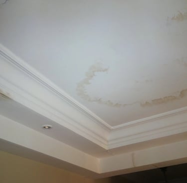 Ceiling with water stains from roof leak