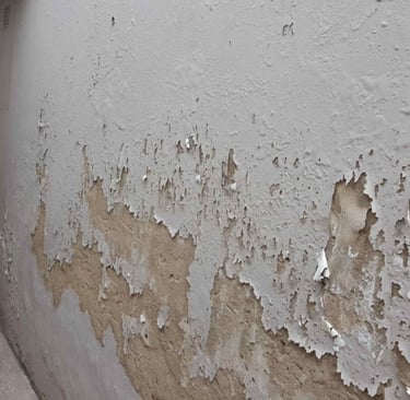 Rising and penetrating Damp Randburg
