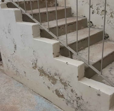 Damp Issues West Rand