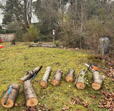 A tree removed and processed on the ground in Bothell WA