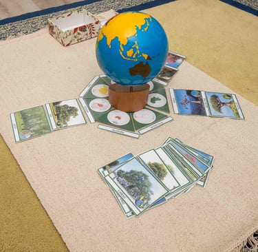 Trees of the World Around the Continent Globe