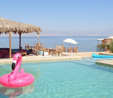 en rosa flamingo som flyter i et basseng på stranden