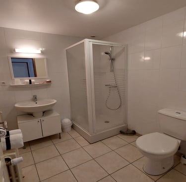 Les Sources Bedroom Alagnon ensuite shower room