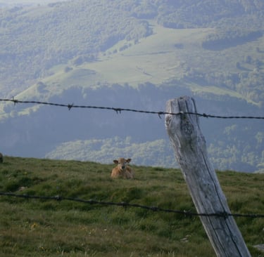 Belvedere sur St Jacques des Blats