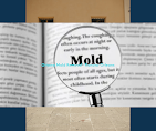 Mold Inspection Ottawa