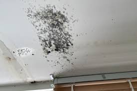 Black mould on a ceiling