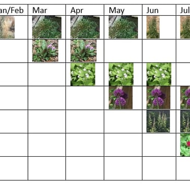 plant list showing visual impact through the year