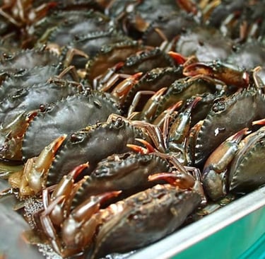 vietnamese crab supplier