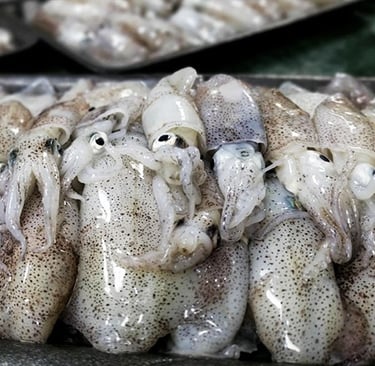 seafood supplier
