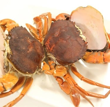 double skinned crabs