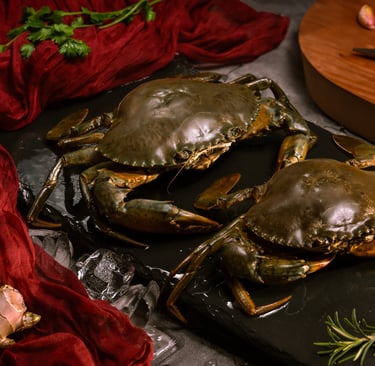 seamorny - vietnamese crab supplier