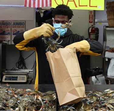 seamorny - vietnamese crab supplier