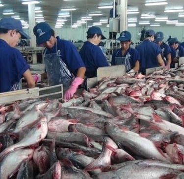 seamorny - vietnamese crab supplier