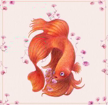 Ilustración pez rojo