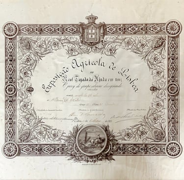 Prémio para o azetie do Barão de Nelas, 1884