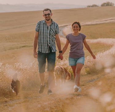coppia che si tiene per mano con cani che camminano su una strada di grano tagliato