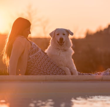 donna incinta con cane al tramonto