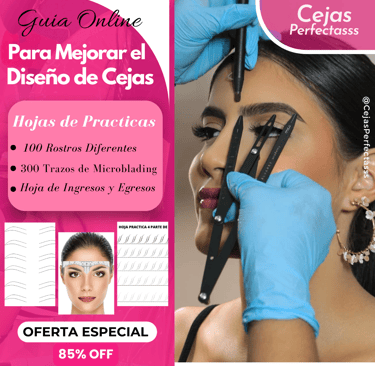Formacion en diseño de Cejas