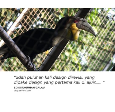bisa ngerasain ngga, tatapan nanar ni burung? graphic designers mana suaranya?