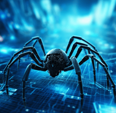 a spider - eyed spider - eyed spider - eyed spider - eyed spider - eyed